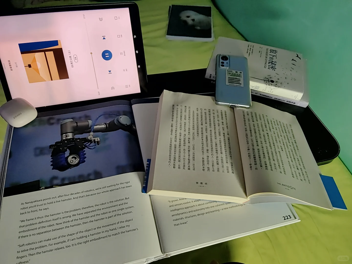 暑假无聊终结者，小泽在线求书📚