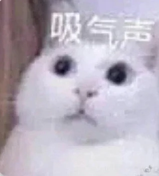 这就是电纸书吗