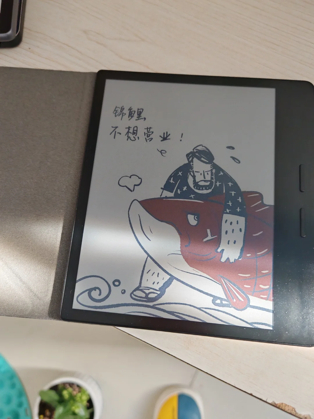 掌阅阅读器