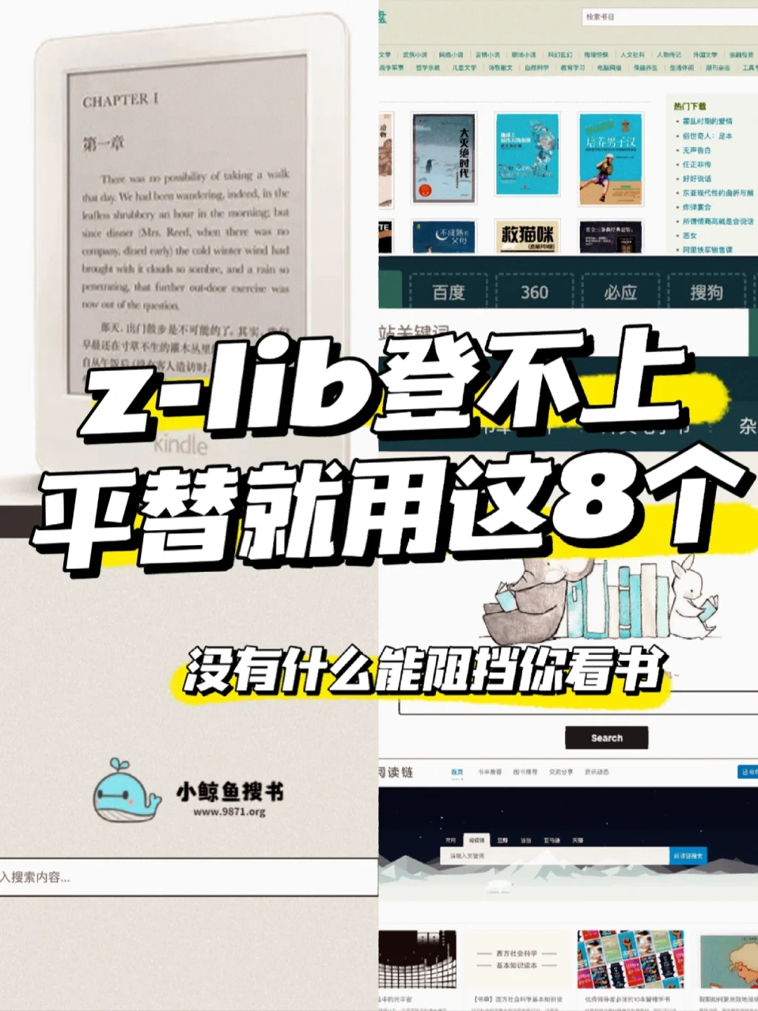 ㊙️Z-lib平替谁也无法阻挡你看书的心📚