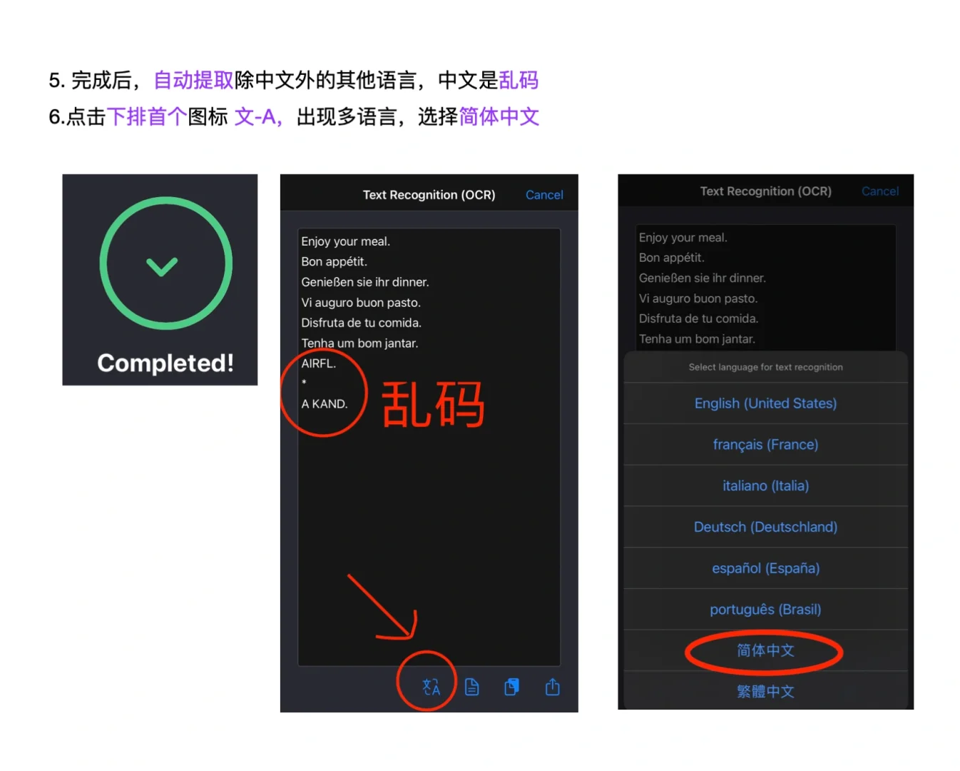 多语言资料同时OCR-免费提取