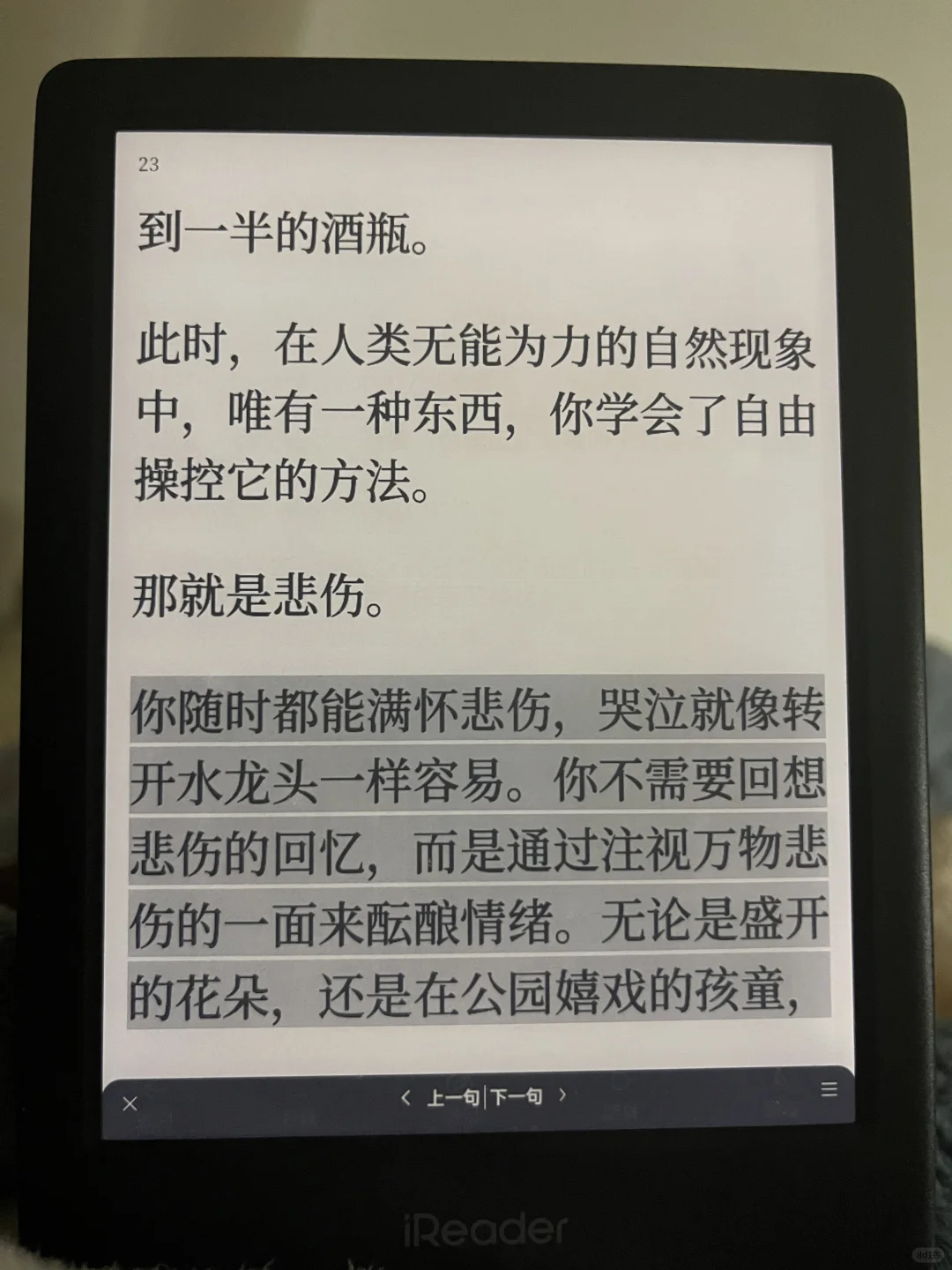 电纸书回本计划2｜绝叫