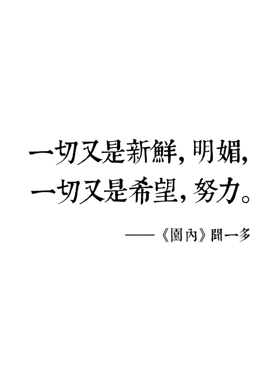 iReader过年仪式感二📙全新金句屏保🔮