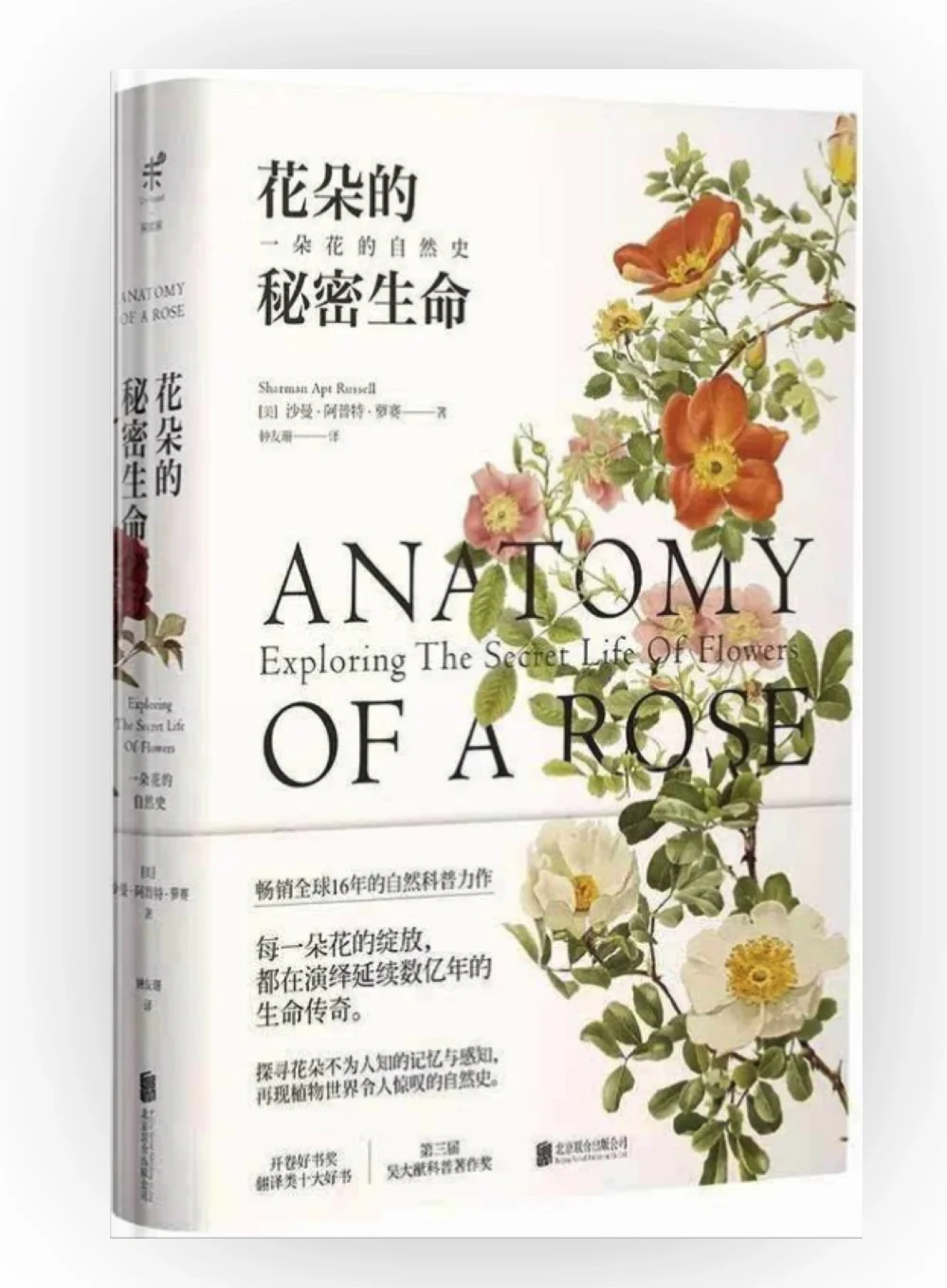 每日更新|zlibrary新🔗实现读书自由