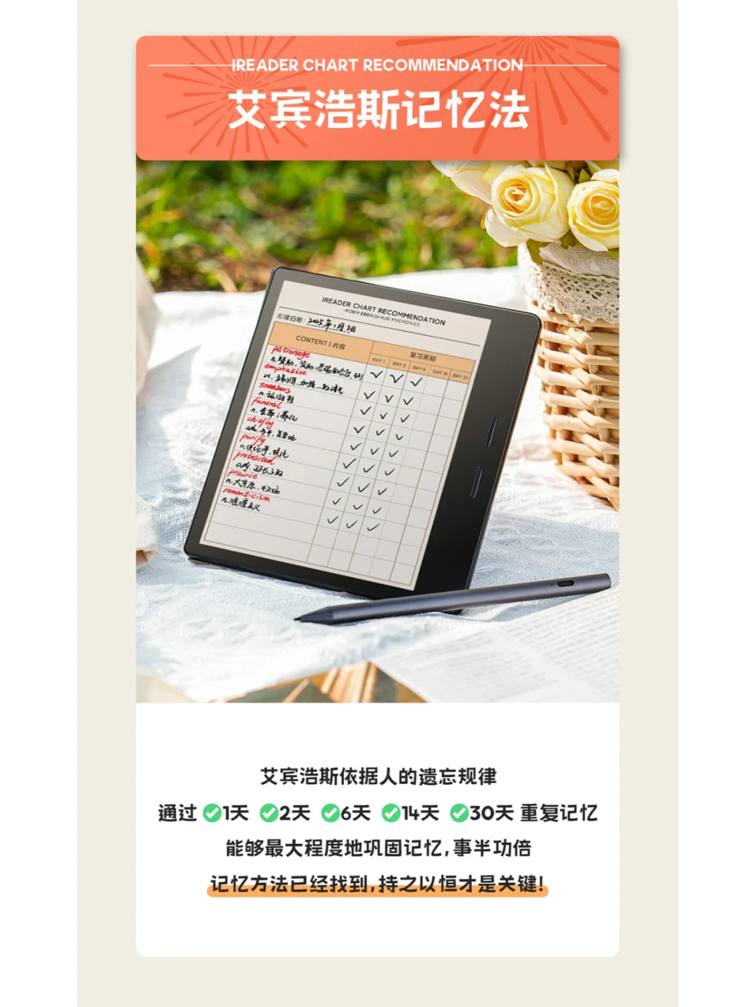 iReader过年仪式感三|全新彩色笔记模板