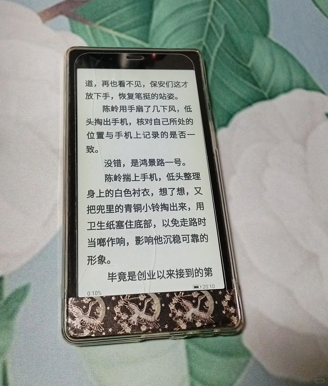 2024的新宠口袋阅，2025继续陪伴我吧