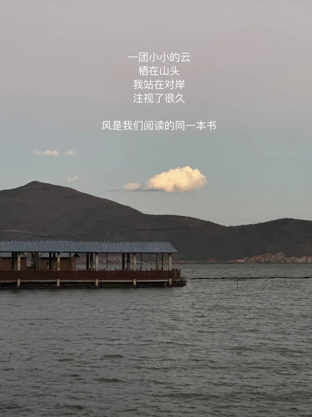 早起阅读4小时：今天就先被打动到这里