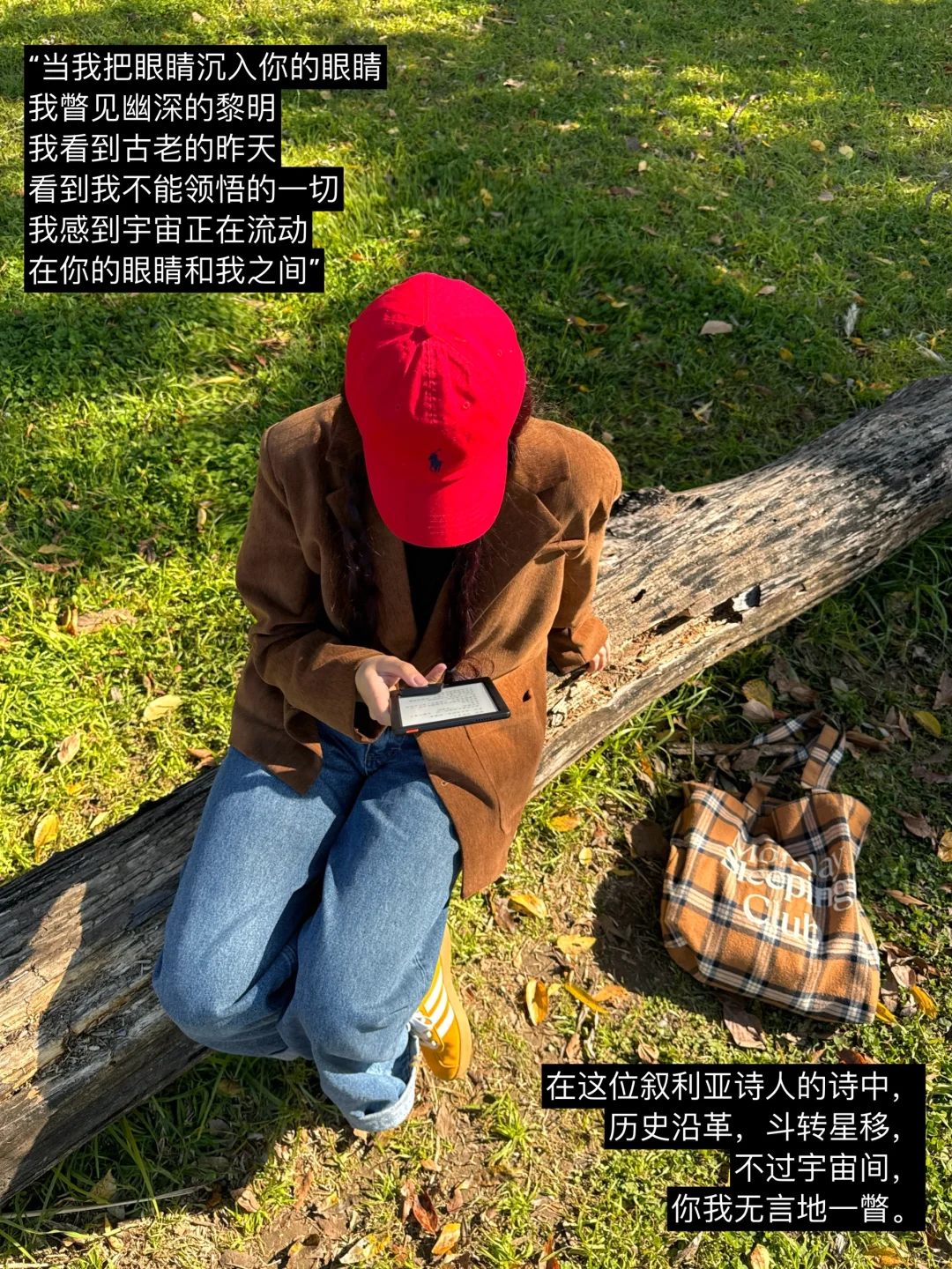 早起阅读4小时：今天就先被打动到这里