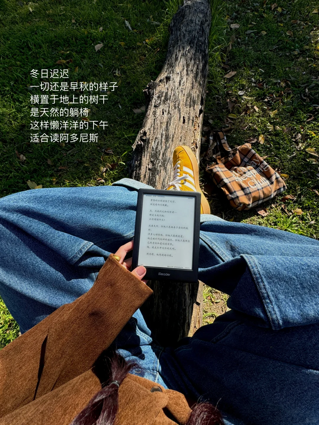 早起阅读4小时：今天就先被打动到这里