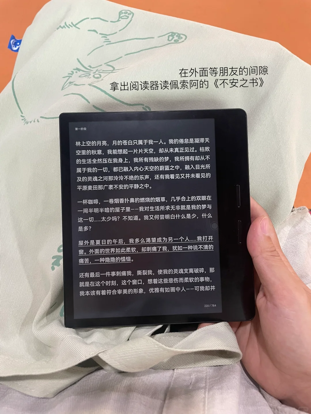 阅读，不过是维持日常所需
