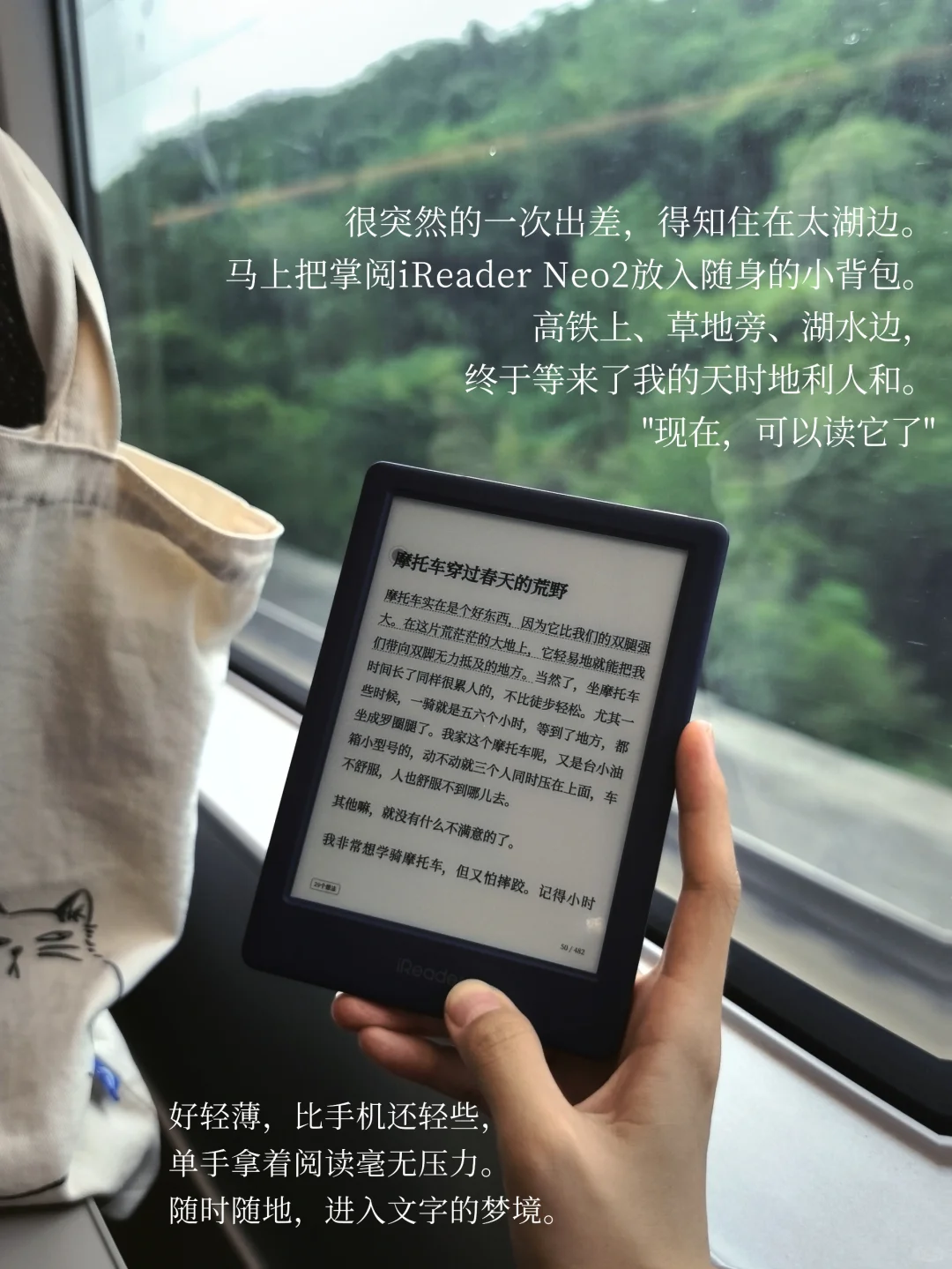 读阿勒泰｜总有些书属于草原、湖水和远方