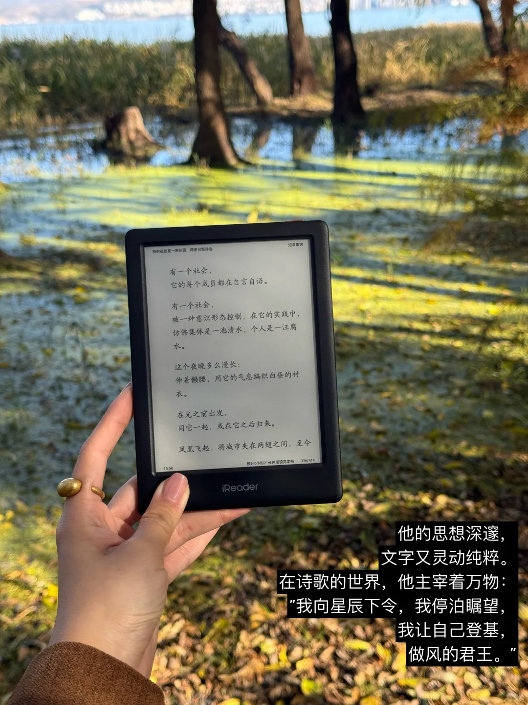 早起阅读4小时：今天就先被打动到这里