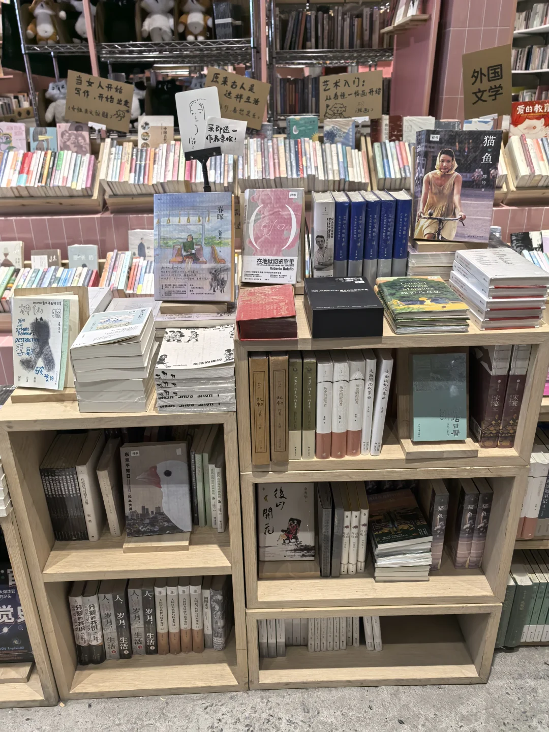 大学路上多抓鱼