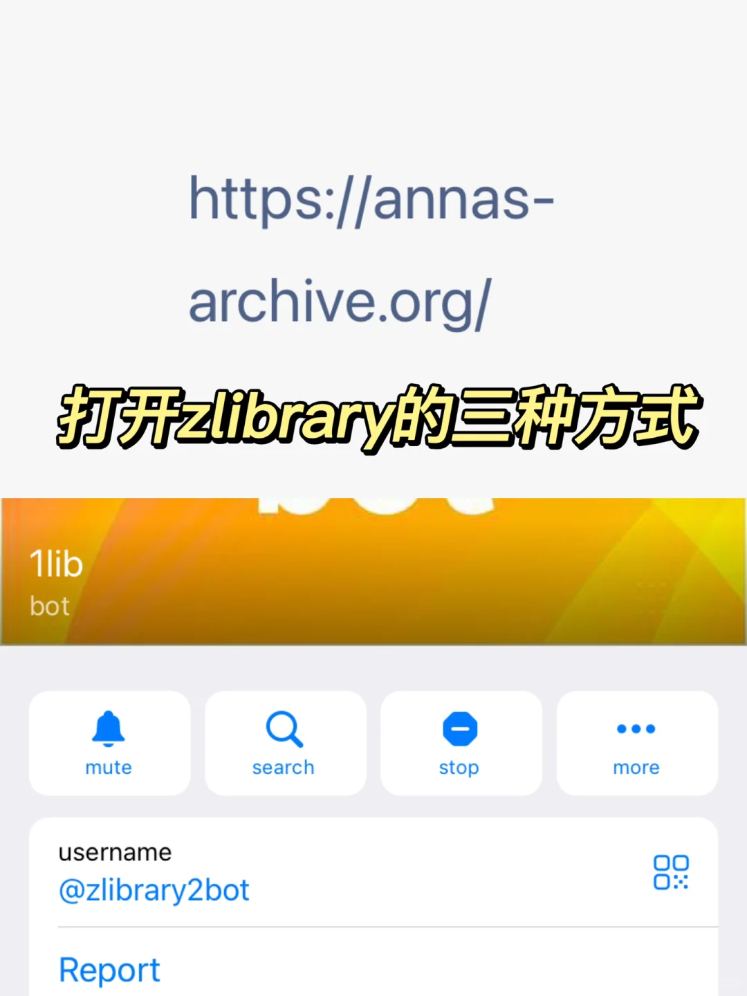 导师再也不用担心我打不开zlibrary啦（