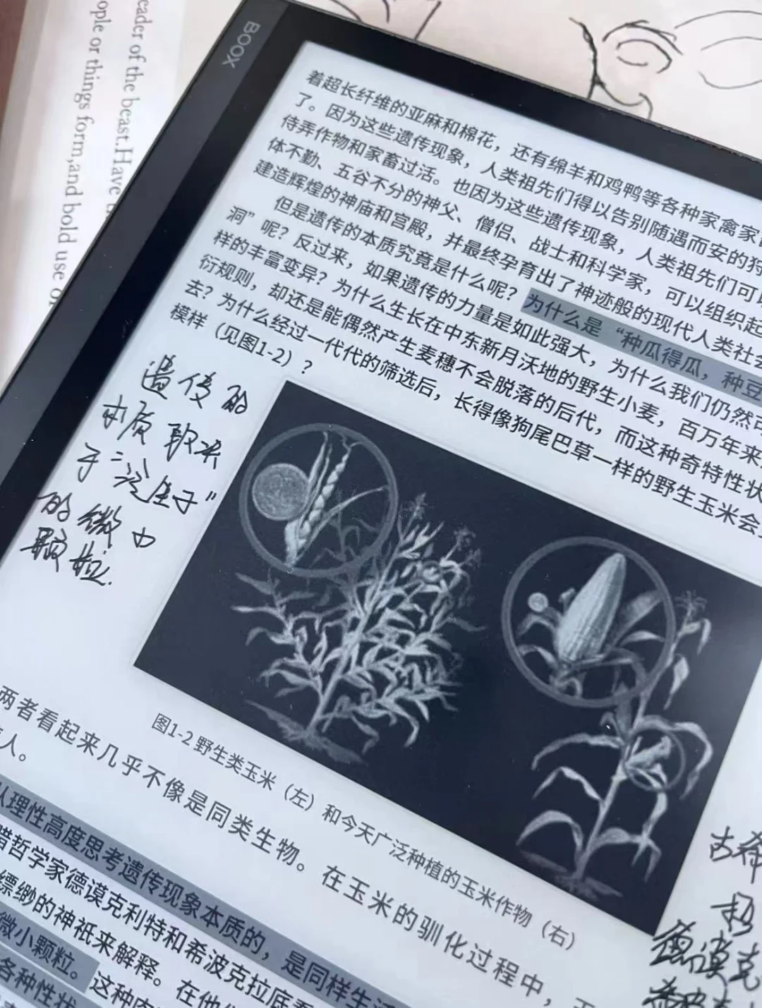 被问n次的电纸书