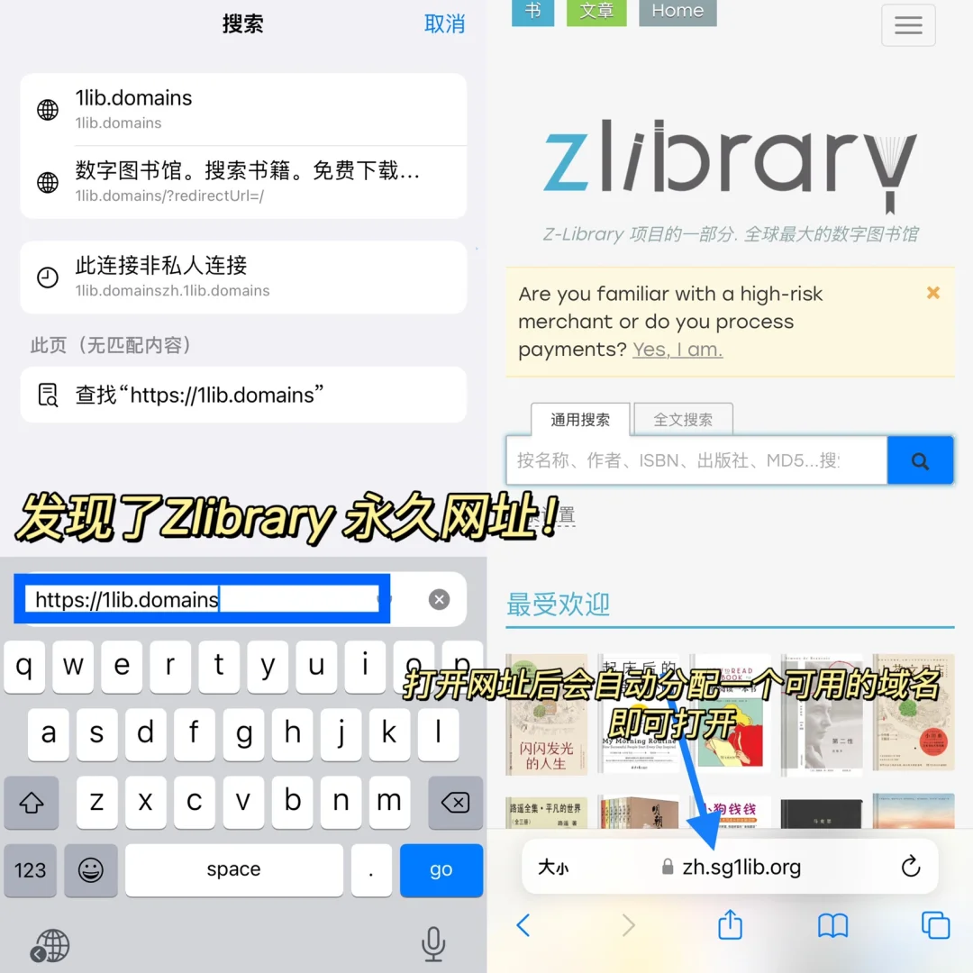 Zlibrary永久网址被我找到啦❗️
