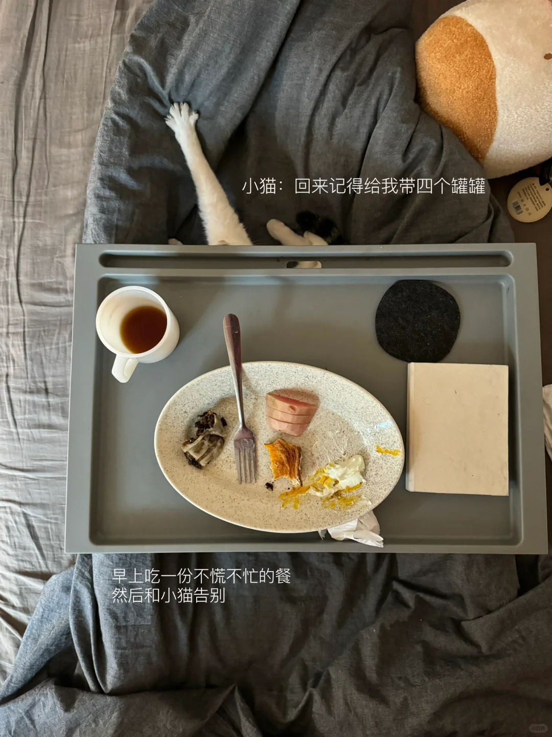 让阅读像呼吸一样自然
