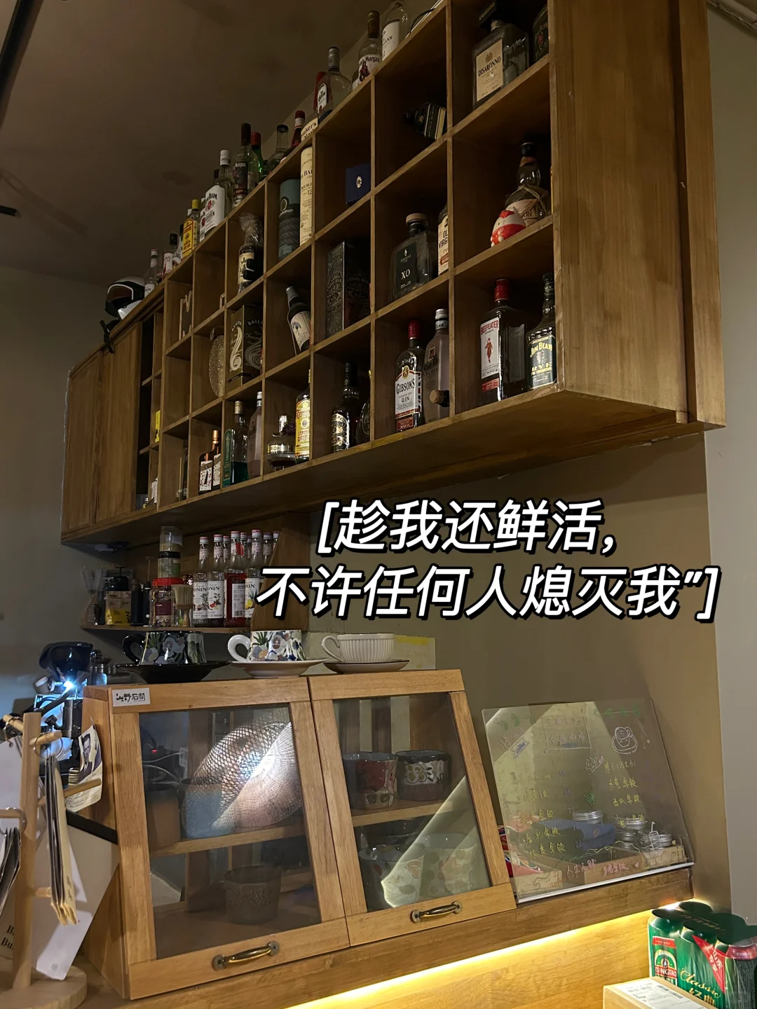 日常plog🧩｜“趁我还鲜活，不许任何人熄灭我”