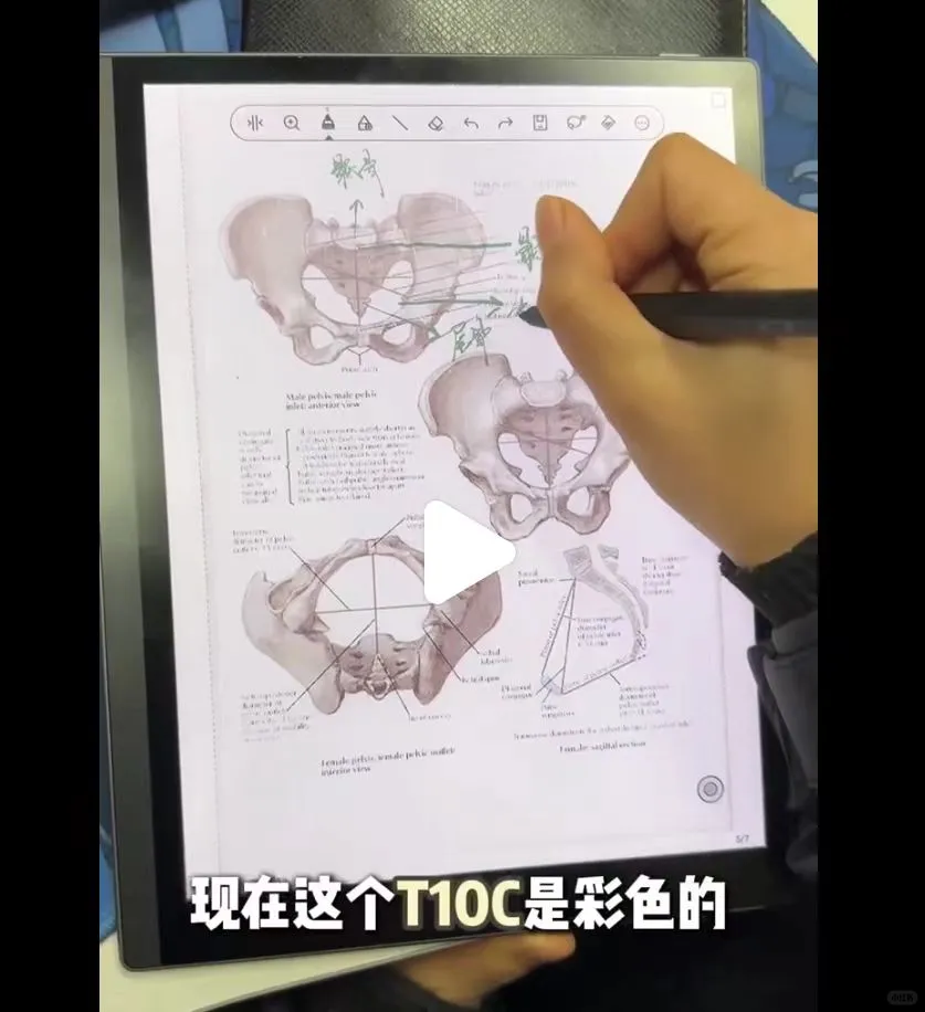 实习医生跟着琴琴抄作业！