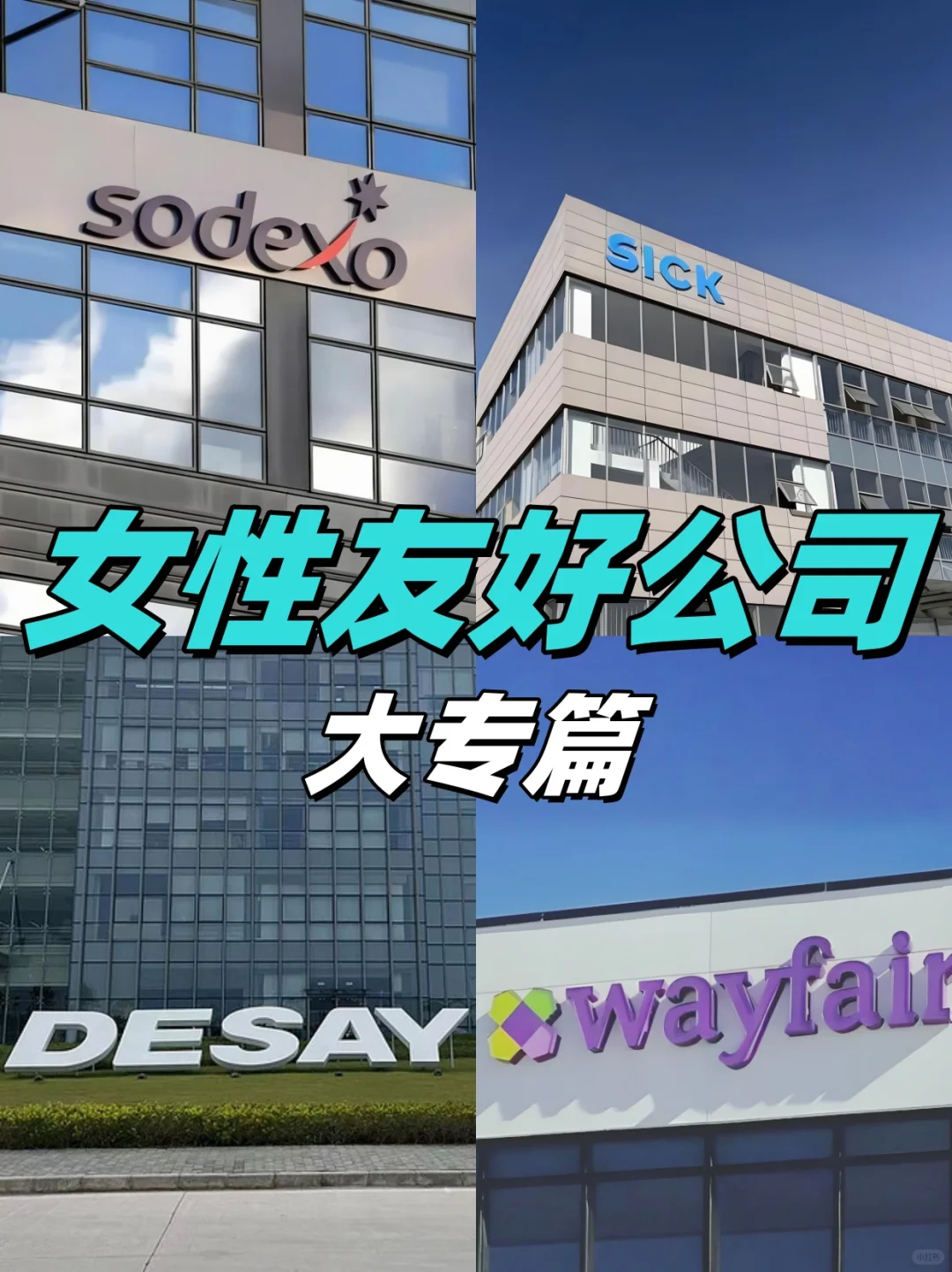 专科友好的女性公司，福利好，氛围好!