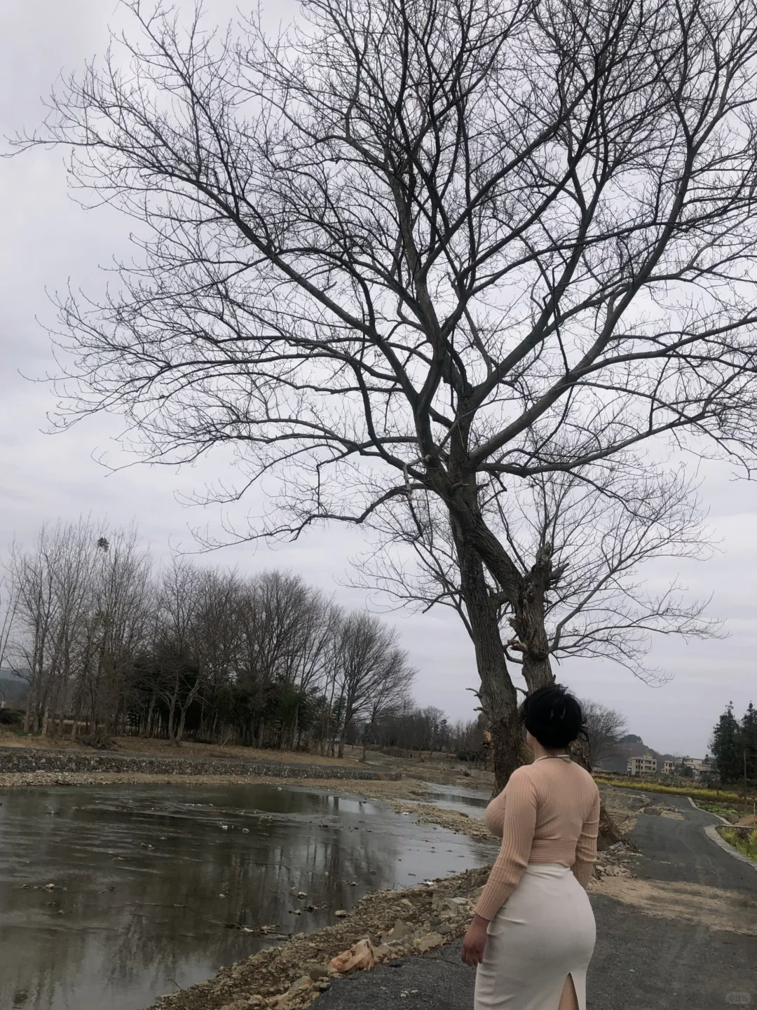 今天是漂亮多金小姨