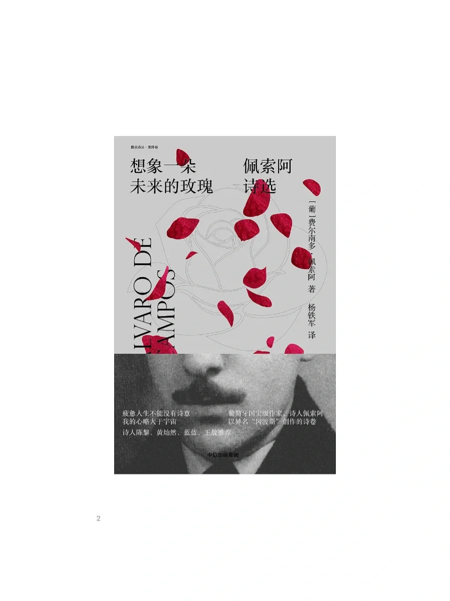 电子书自由 Z-lib真的YYDS