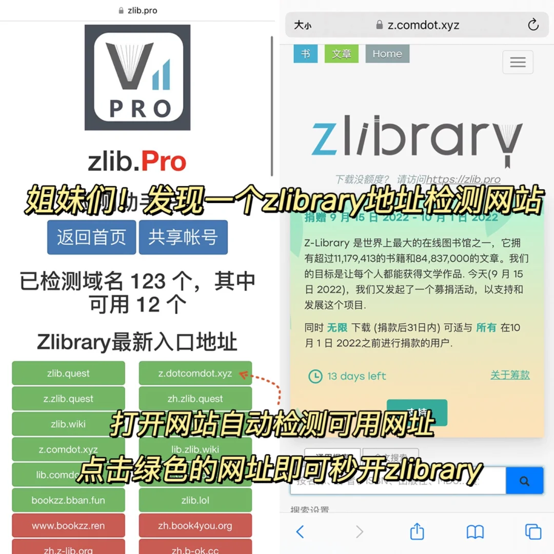 杀疯了！！zlibrary永久网址被我找到了