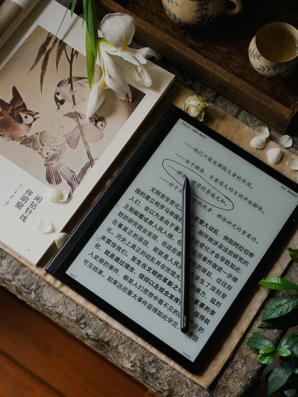 独处，读书，喝茶｜你不必非要去旅行。