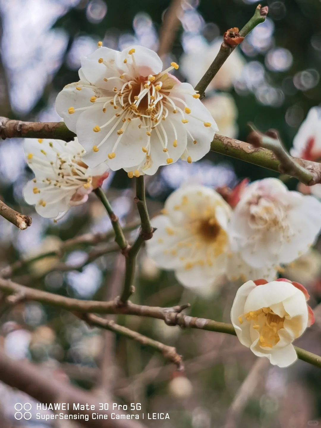 春日读《纳瓦尔宝典》