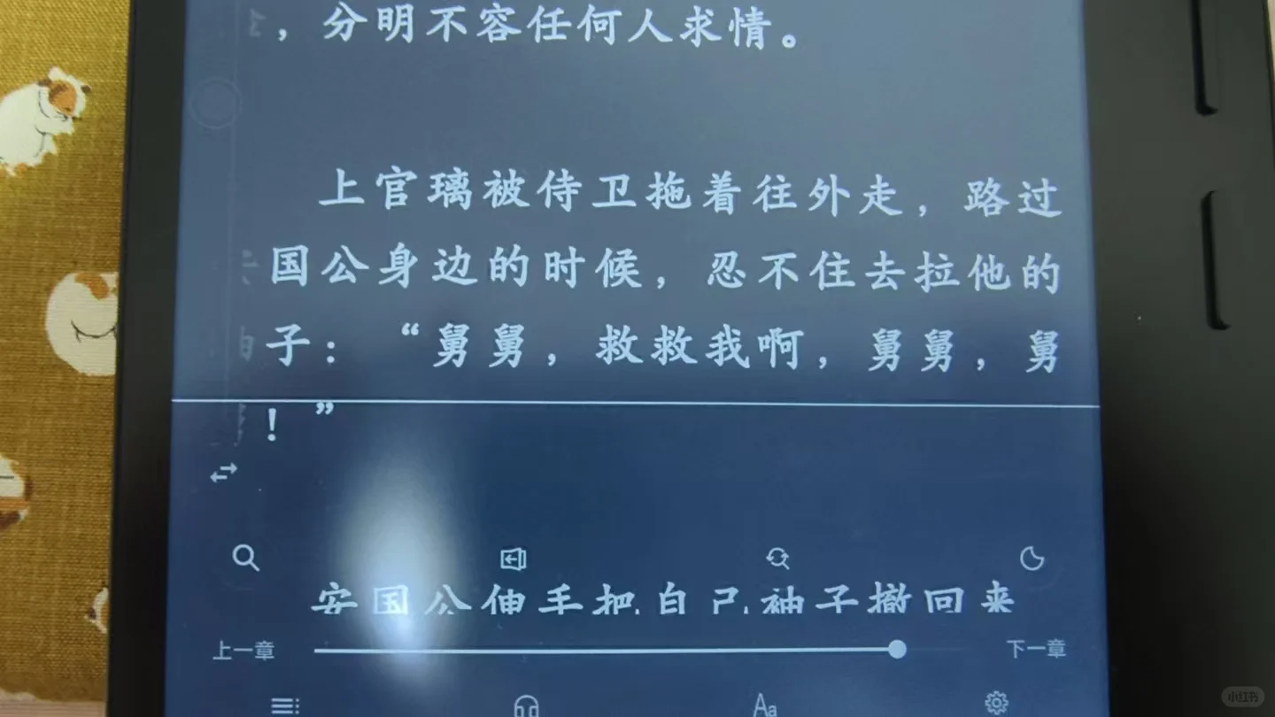 忍不住吐槽掌阅售后。