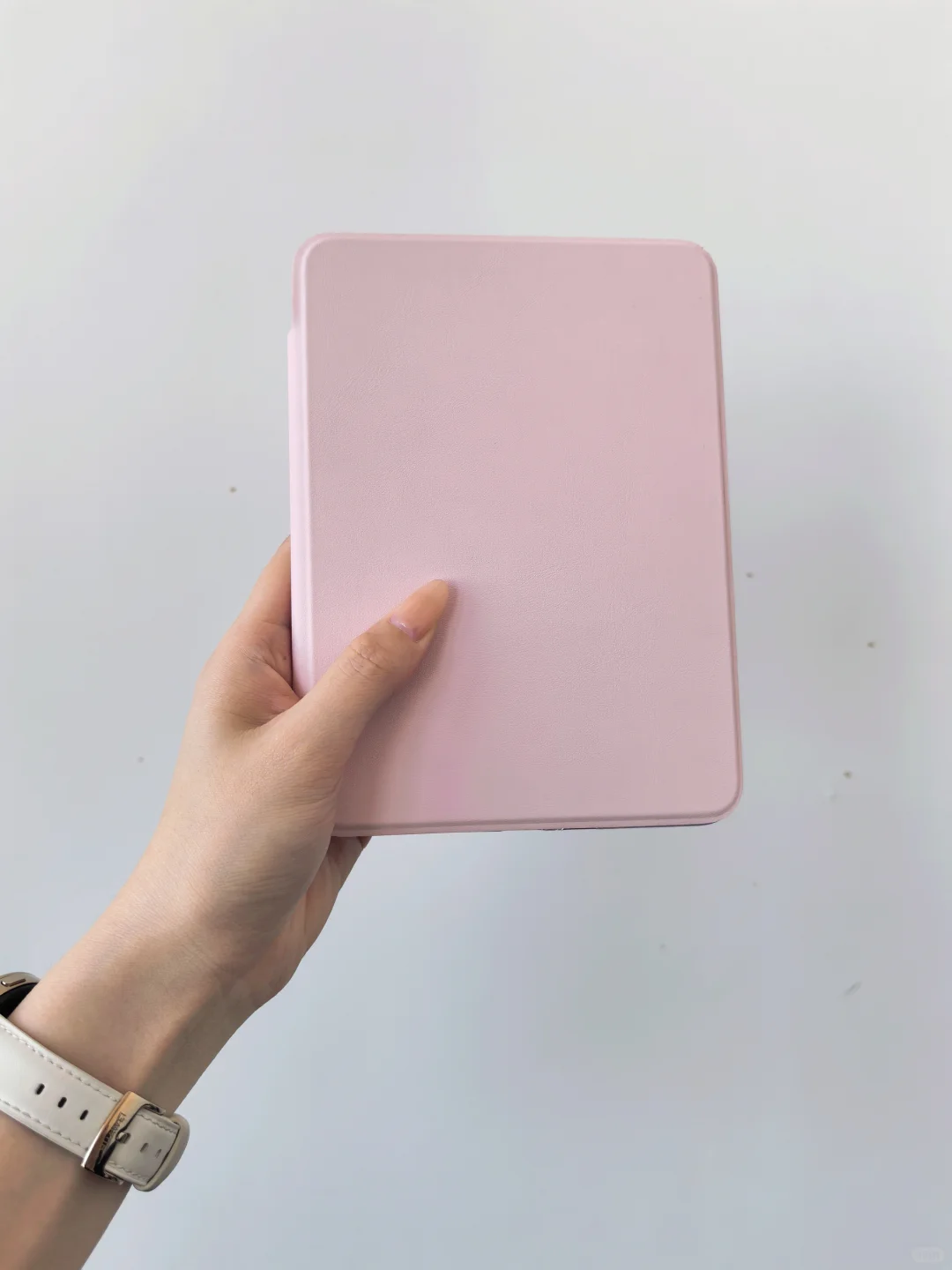 同时拥有了kindle树莓粉和文石小白马