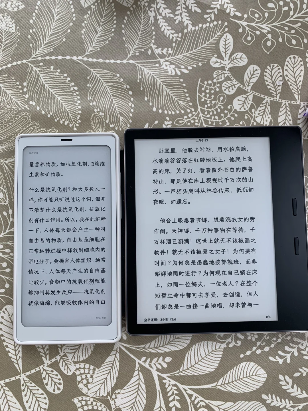 留下了小白马