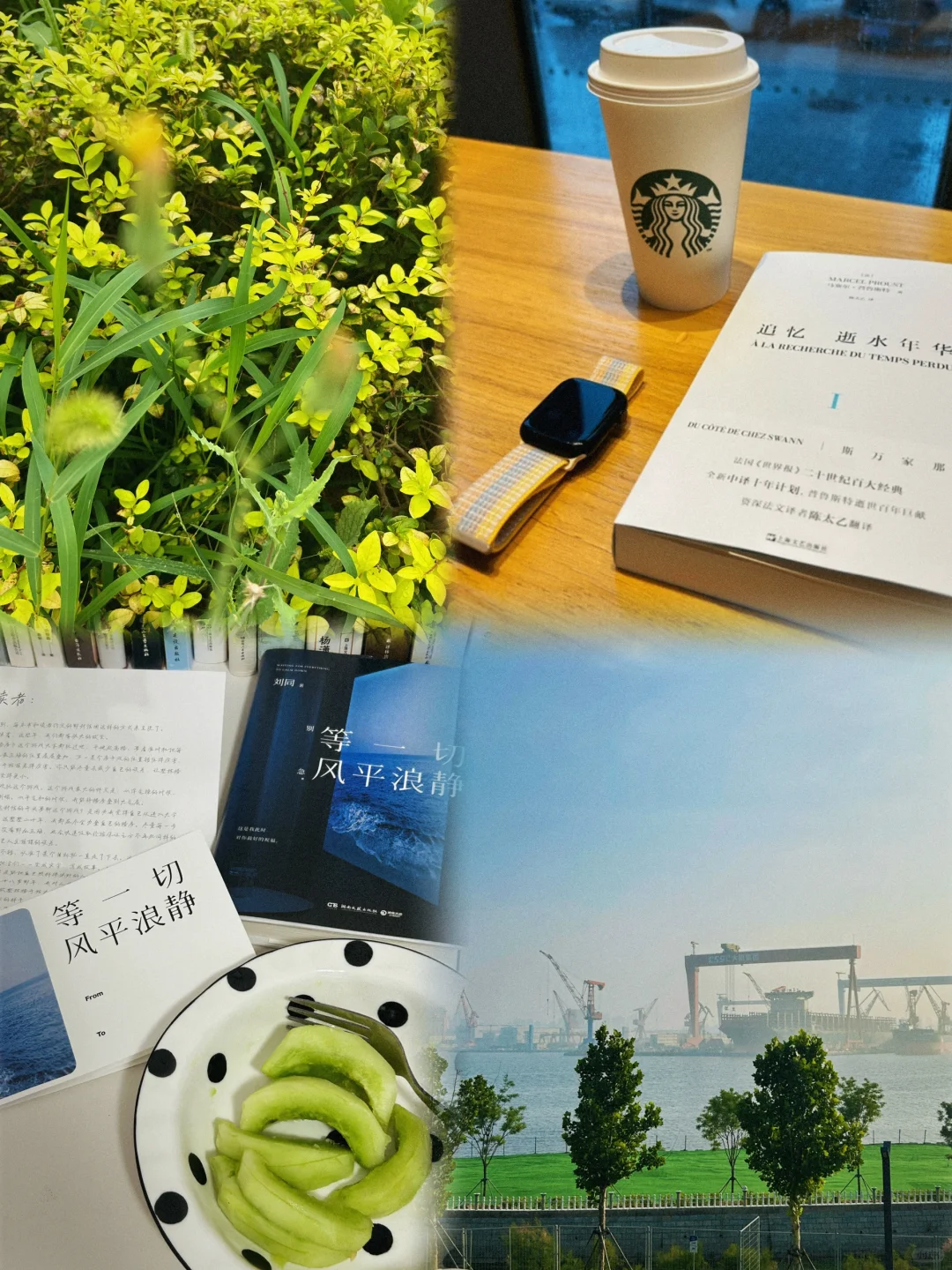 普通读者的第9年我好喜欢松弛的生活🥰