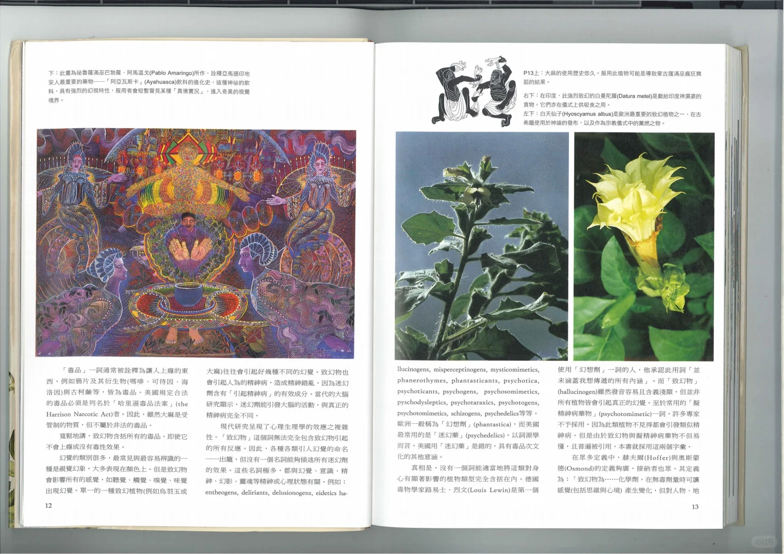 📚书评（五）跟着植物去全世界旅行