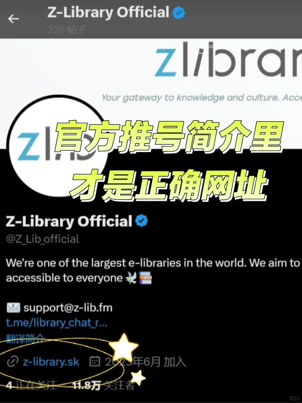 打假盗版Zlibrary