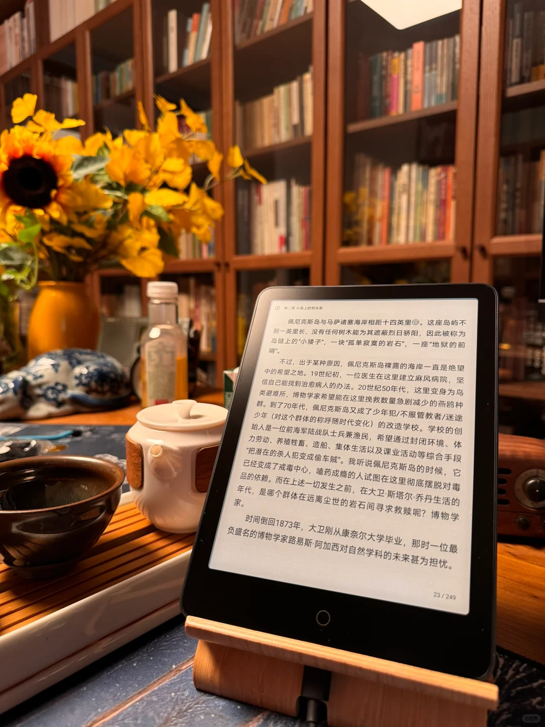 通勤路上，睡前时光，书帮我涉过生活的湍流