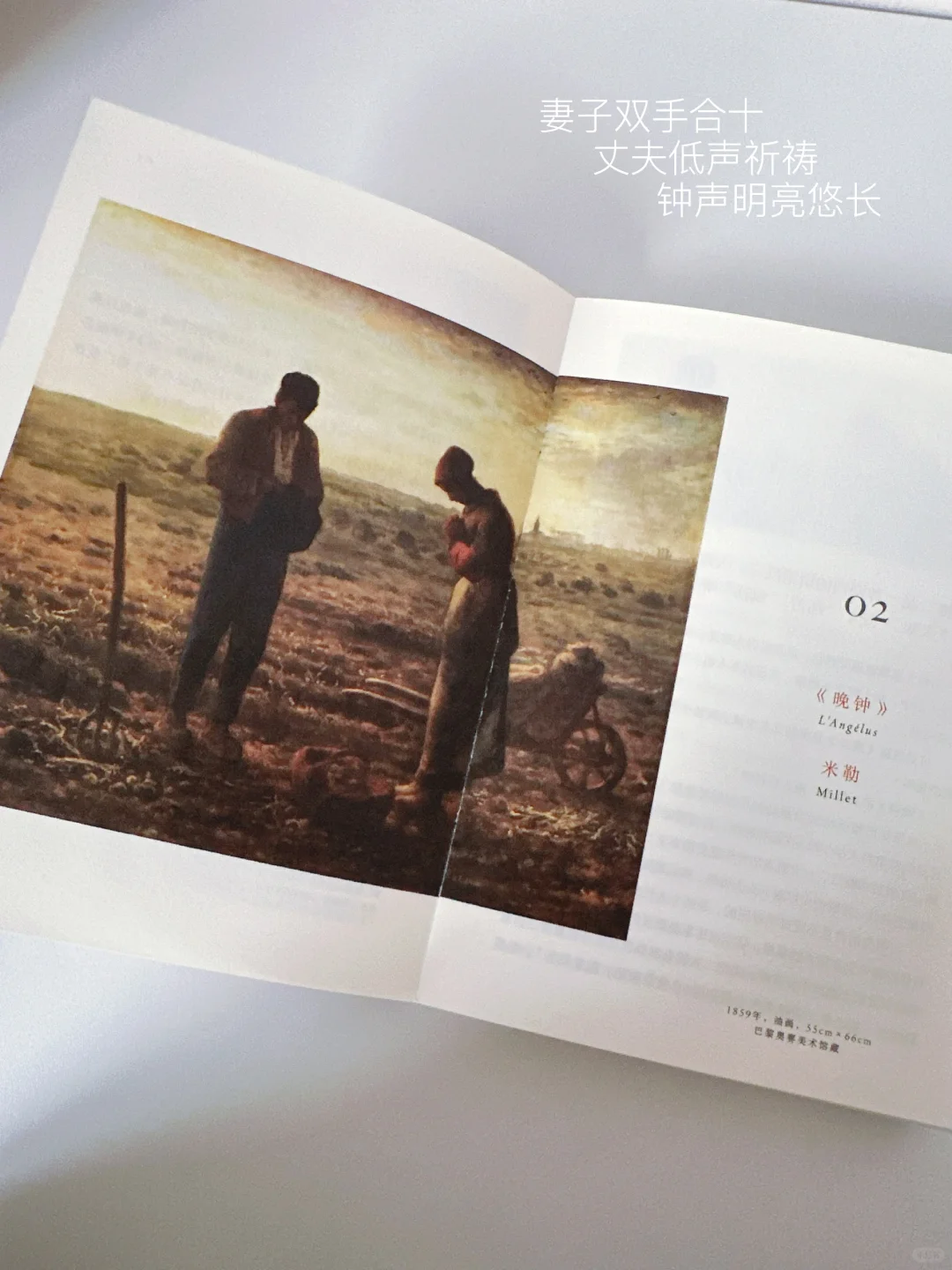 Plog 💭谁懂，这一刻的含金量呀！