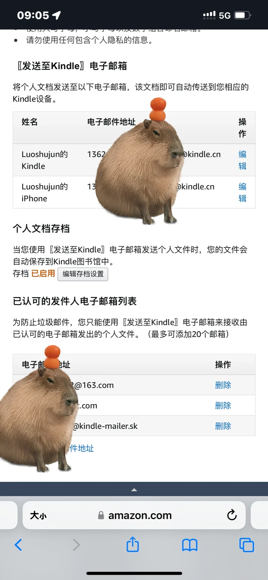 求助，无法从Z library直接发送文件到kindle