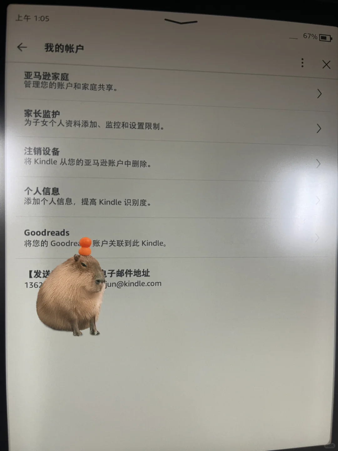 求助，无法从Z library直接发送文件到kindle