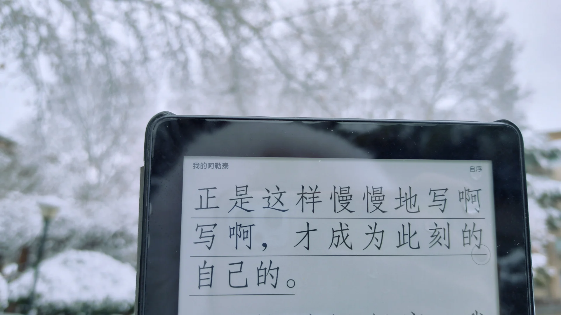 day1:在大雪围拥的安静中，慢慢成为自己❄