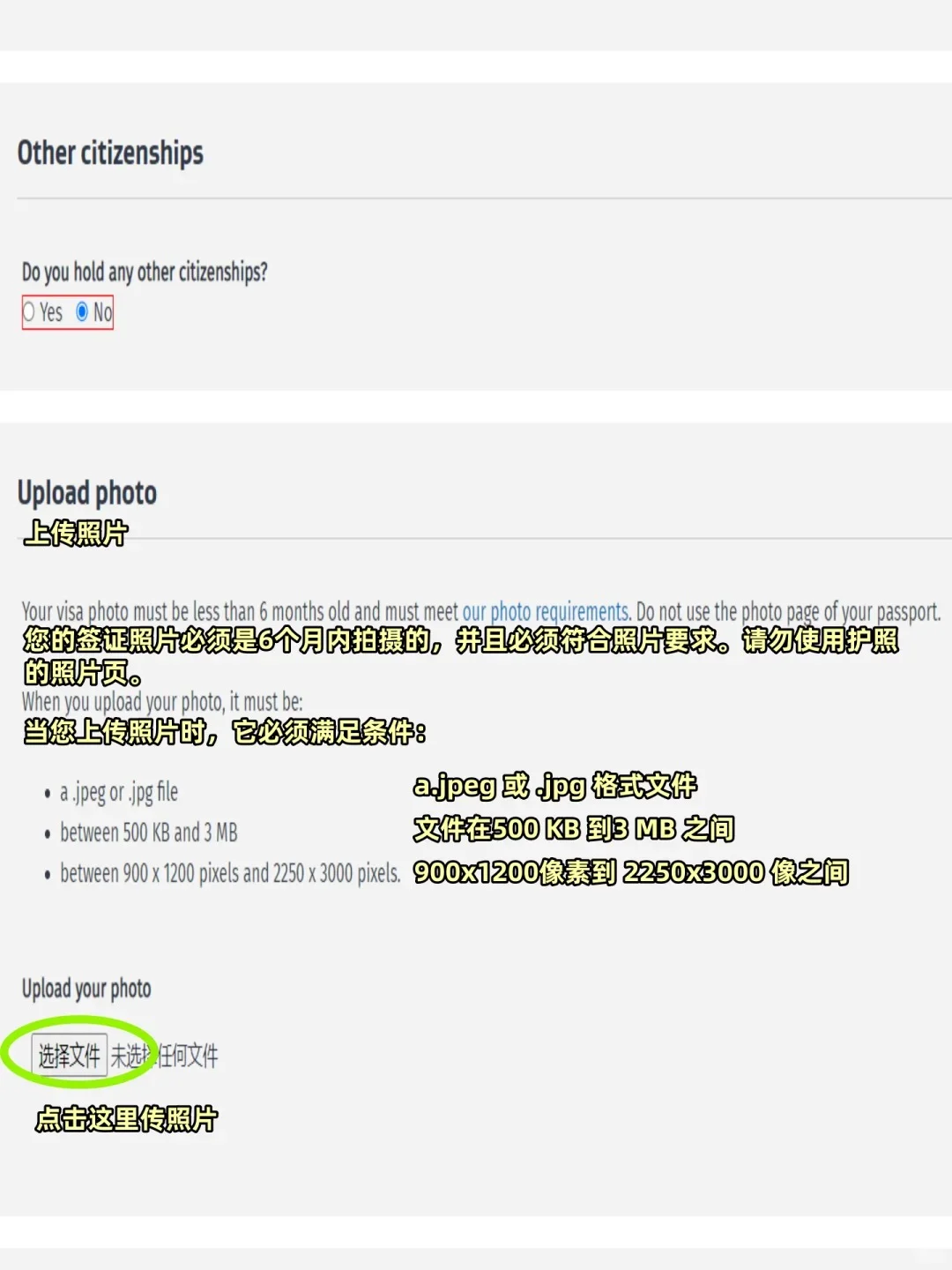 我发现最近新西兰签证给💰就能过😭