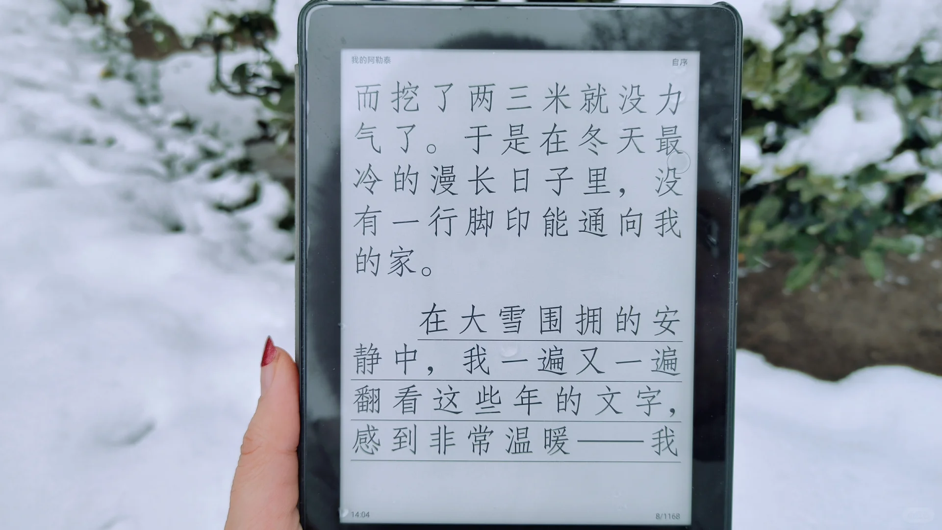 day1:在大雪围拥的安静中，慢慢成为自己❄