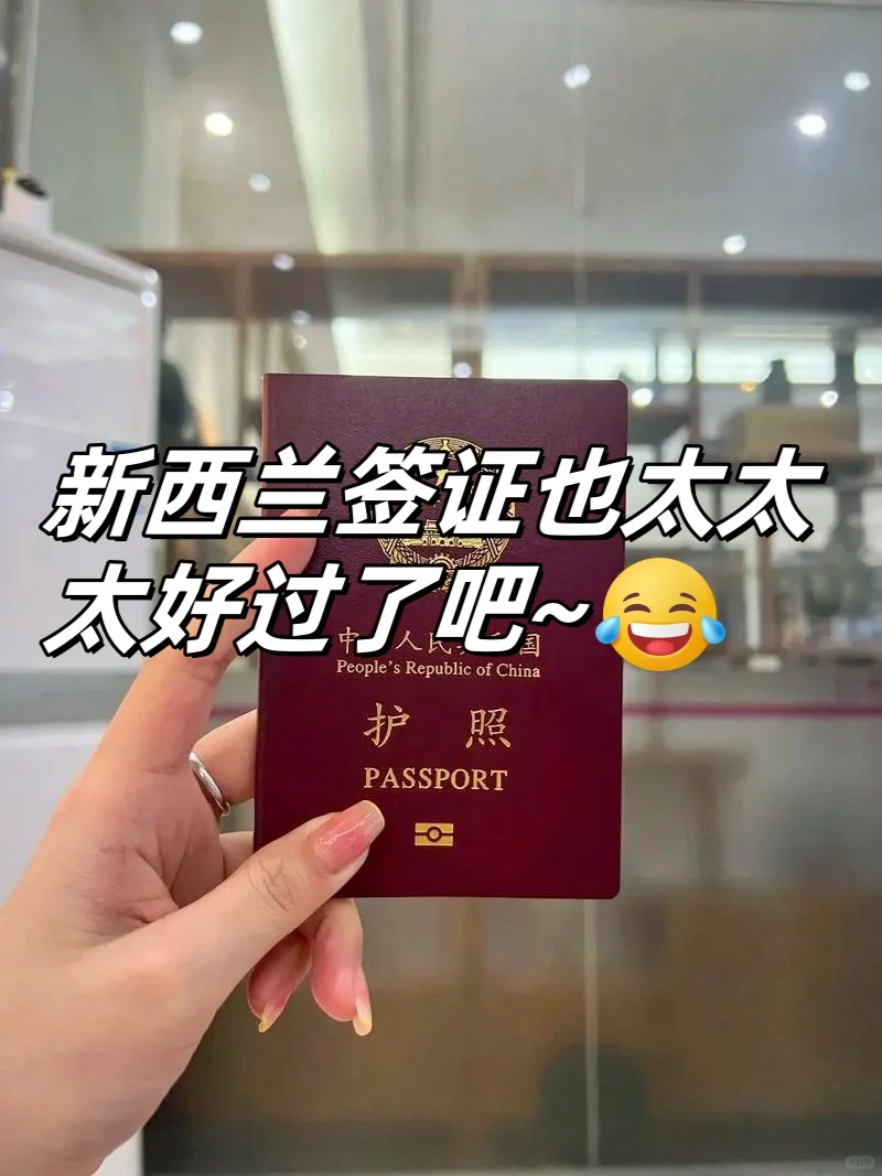 我发现最近新西兰签证给💰就能过😭