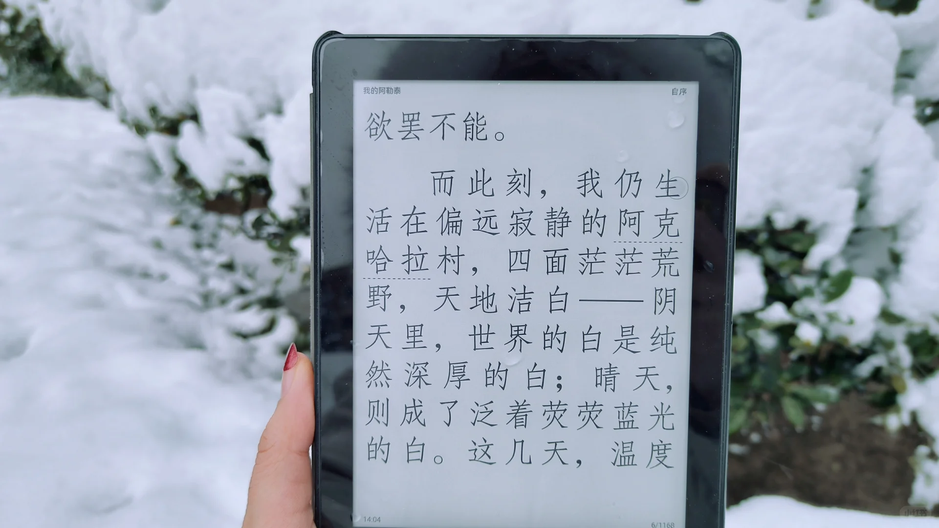 day1:在大雪围拥的安静中，慢慢成为自己❄
