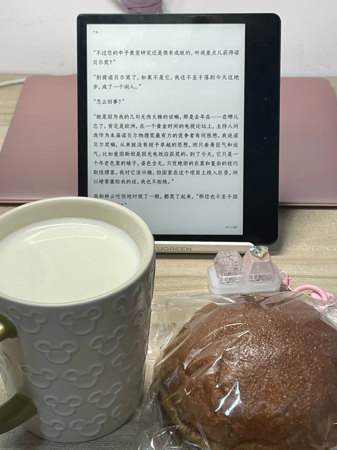 求一个迪士尼包可以用来做阅读器内胆包