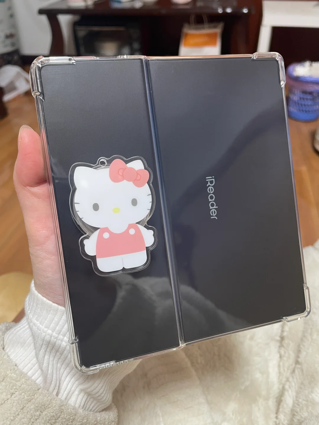 求一个迪士尼包可以用来做阅读器内胆包