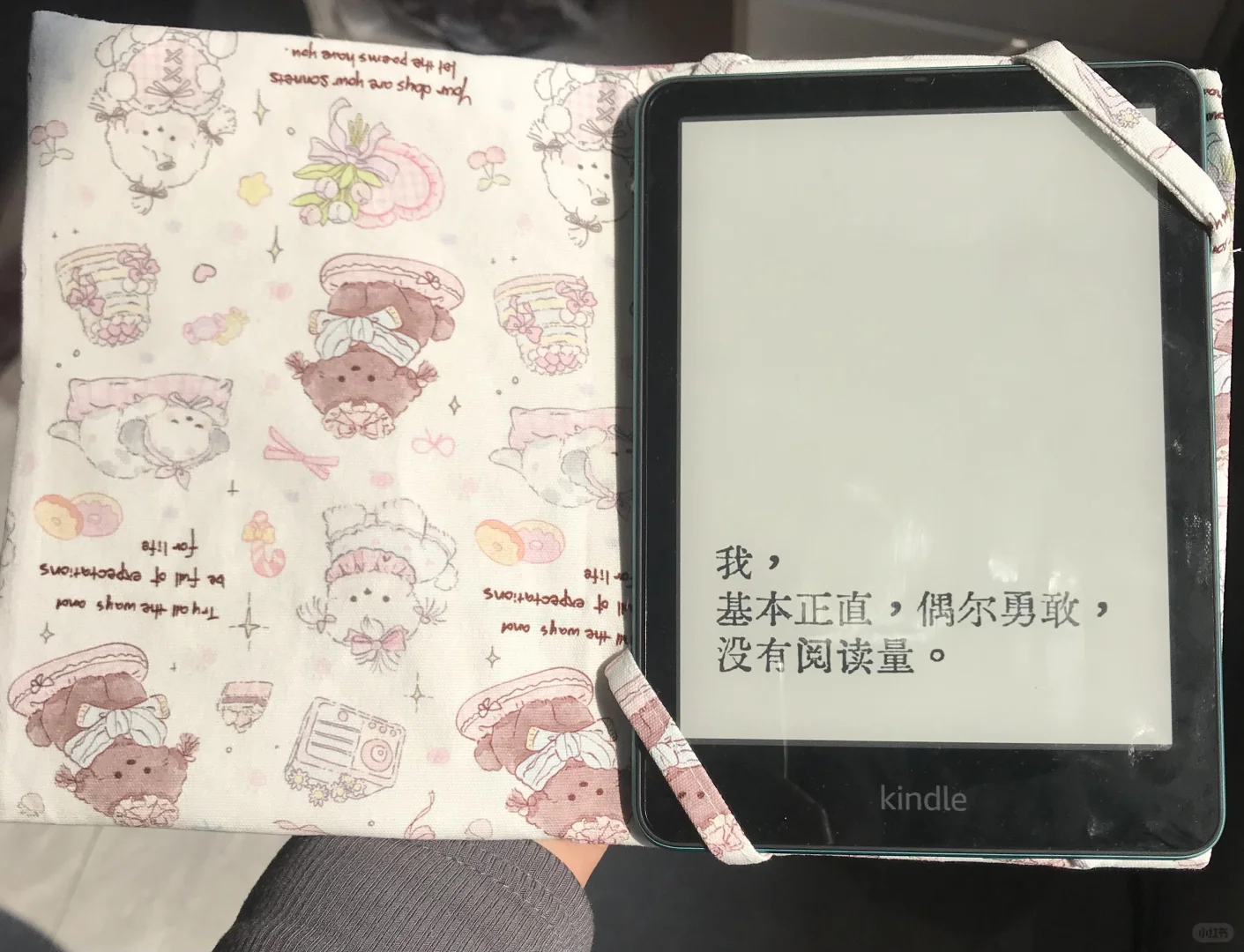 自制阅读器保护套✅