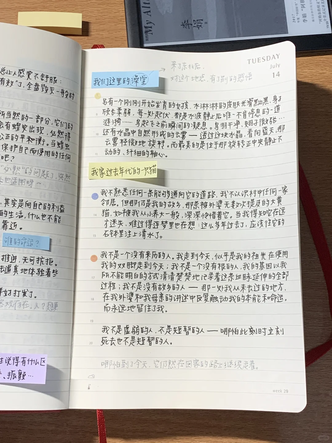 读书笔记📚是什么在唤醒我探索世界的冲动
