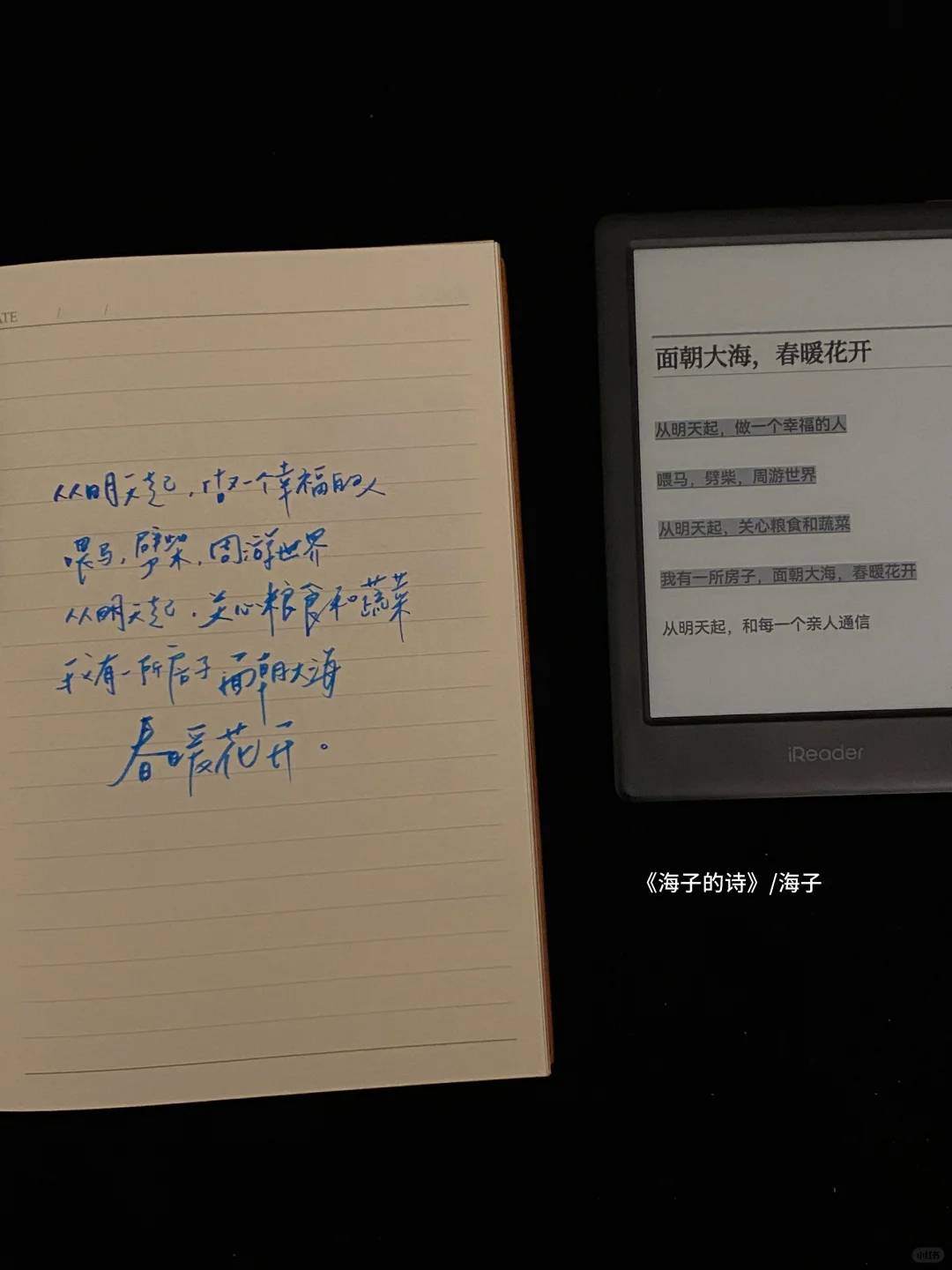 是的，我值得一个美好的春天。