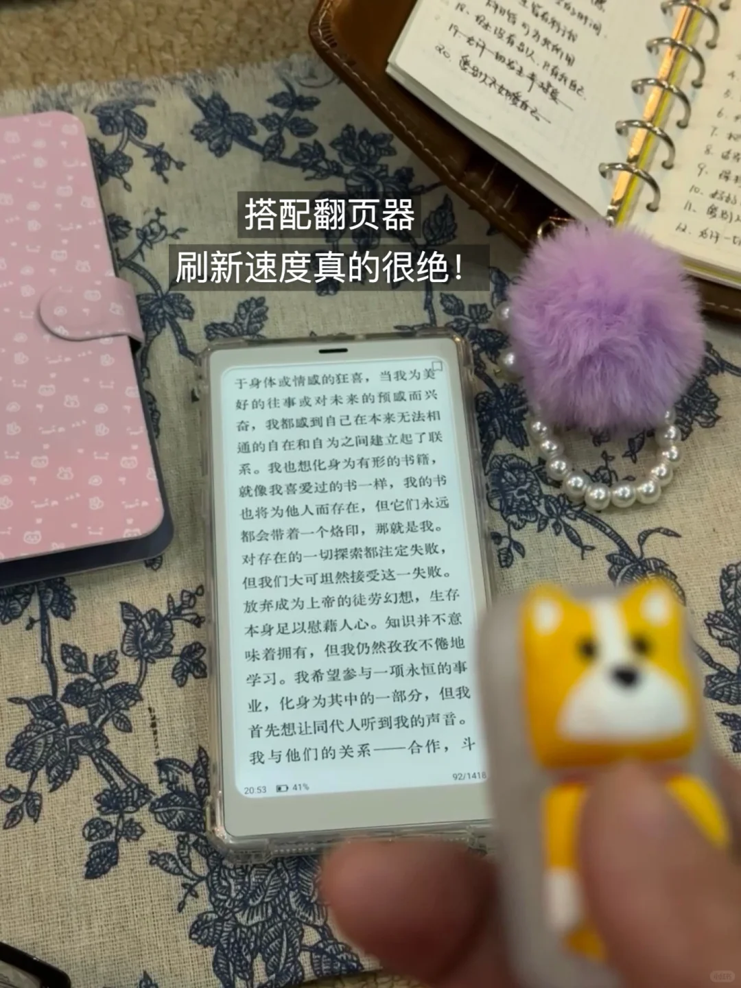 终于！！全款拿下文石小白马！！